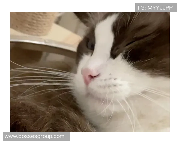 卡灵顿改造后设施全面提升 周日赛后球员深夜仍在放松恢复